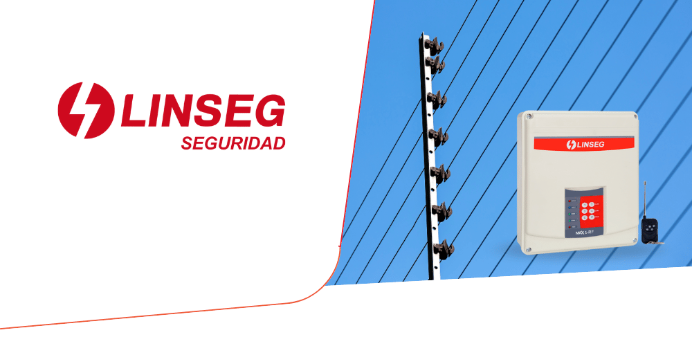 linseg seguridad 